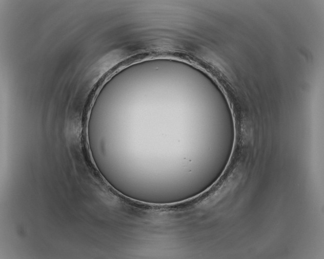 X0000113241065200910011321