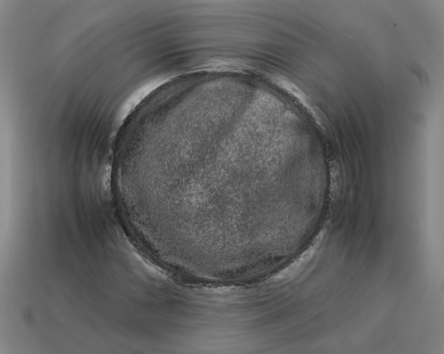 X0000113241066200910011321