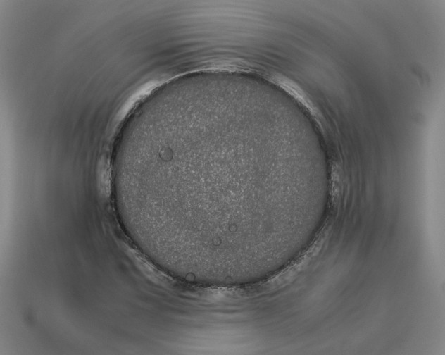 X0000113241067200910011321