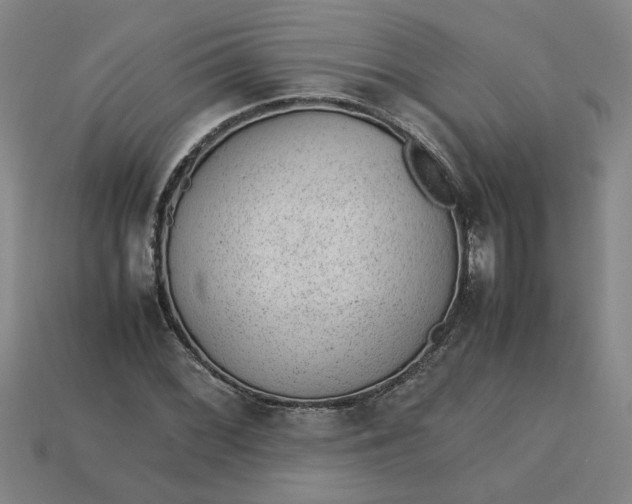 X0000113241068200910011321