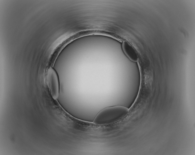 X0000113241069200910011321