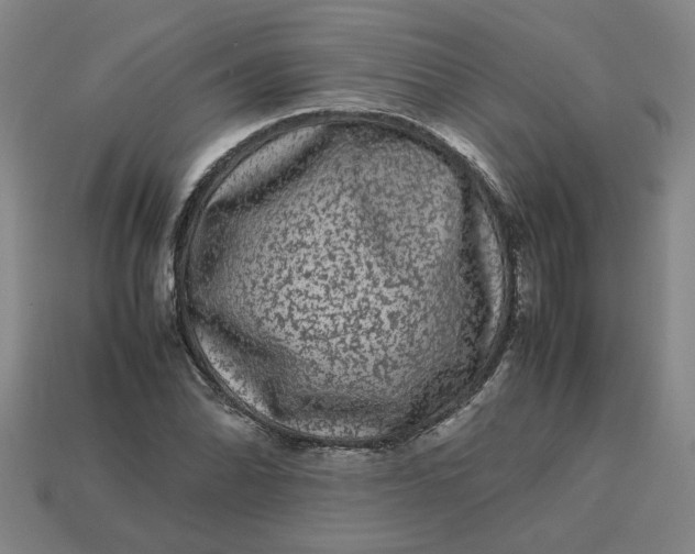 X0000113241070200910011321