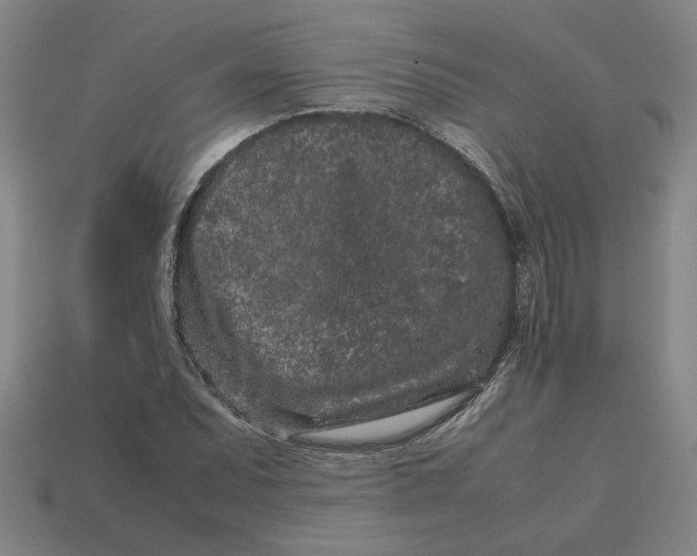 X0000113241071200910011321