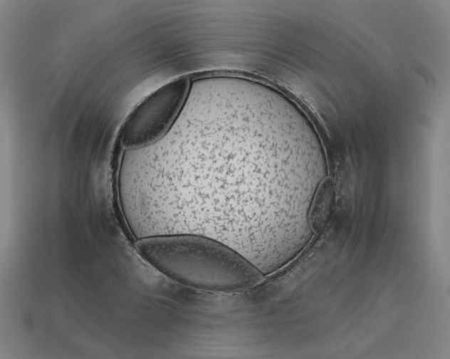 X0000113241072200910011321