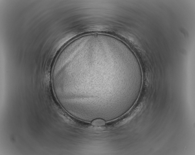 X0000113241073200910011321