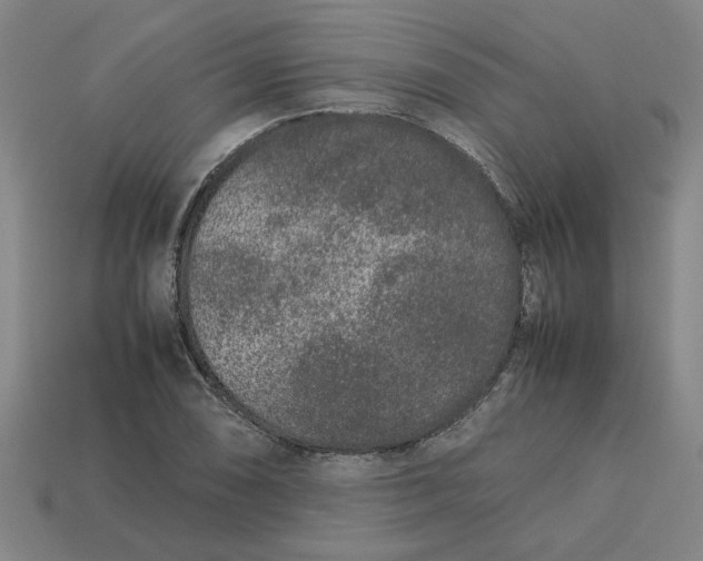 X0000113241074200910011321