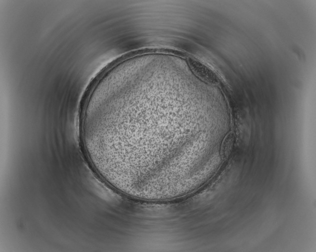 X0000113241076200910011321