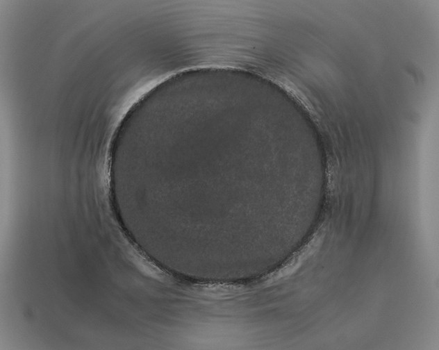 X0000113241077200910011321