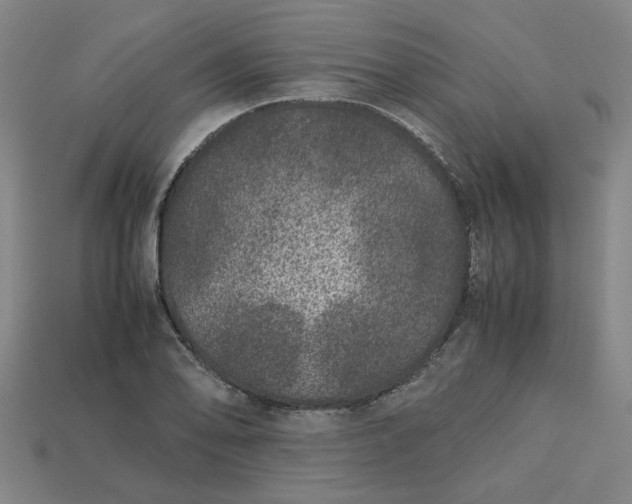 X0000113241078200910011321