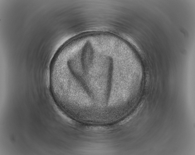 X0000113241079200910011321