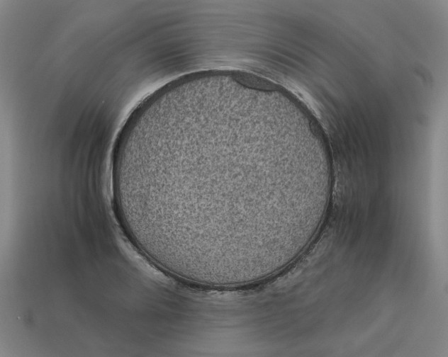 X0000113241080200910011321