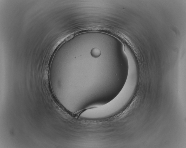 X0000113241081200910011321