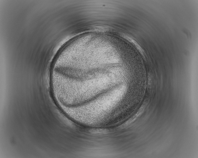 X0000113241083200910011321