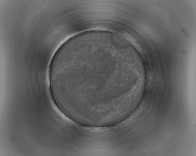 X0000113241084200910011321