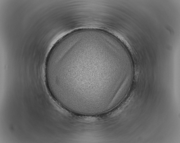 X0000113241085200910011321