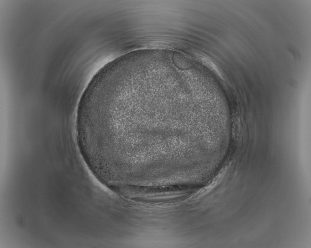 X0000113241087200910011321