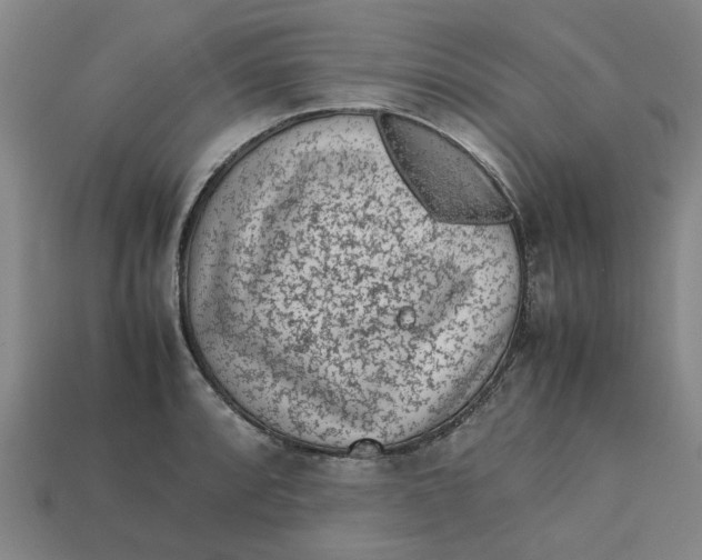 X0000113241088200910011321