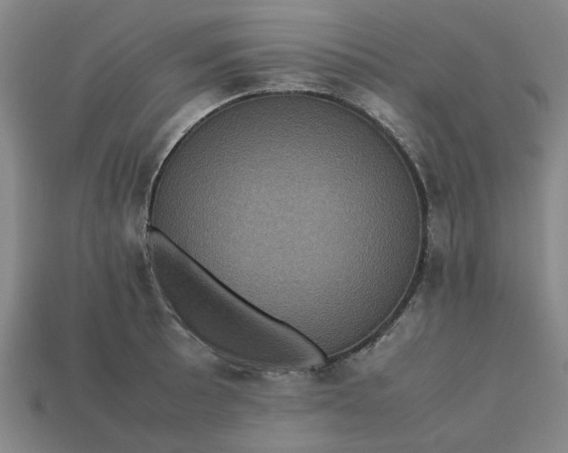 X0000113241089200910011321