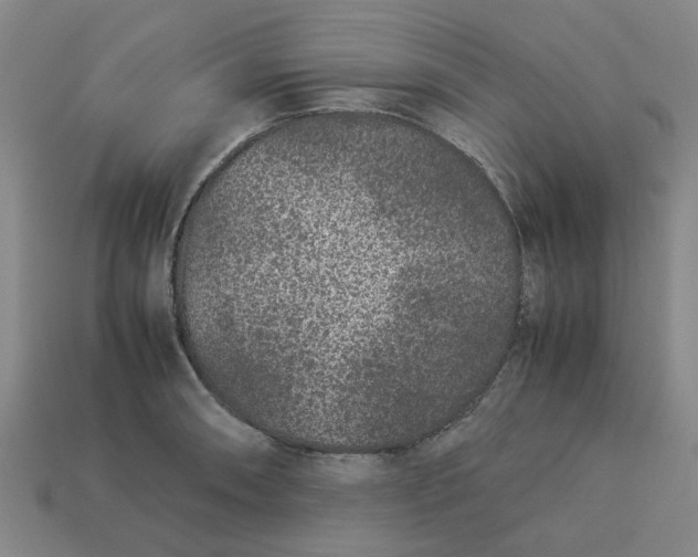 X0000113241090200910011321