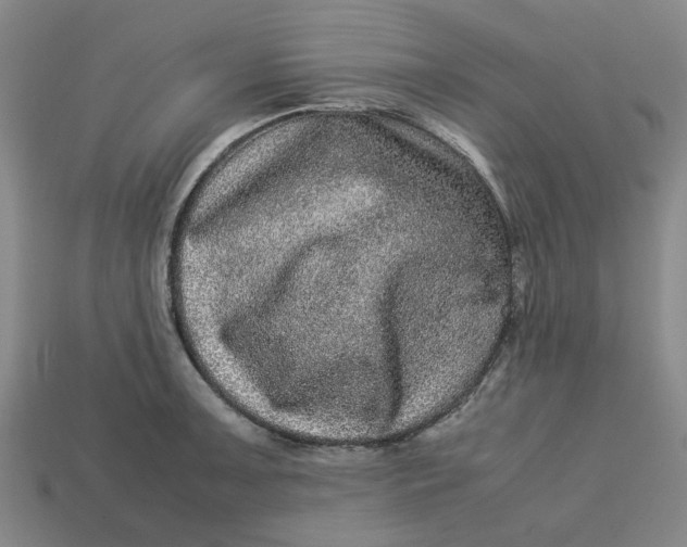 X0000113241091200910011321