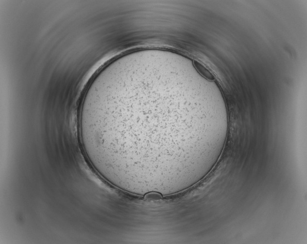 X0000113241092200910011321