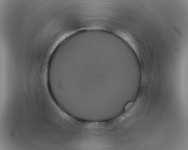 X0000113241093200910011321