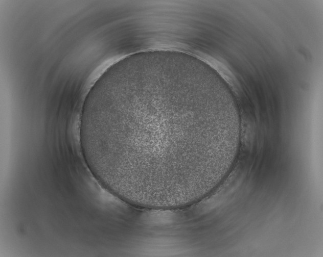 X0000113241094200910011321