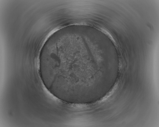 X0000113241095200910011321