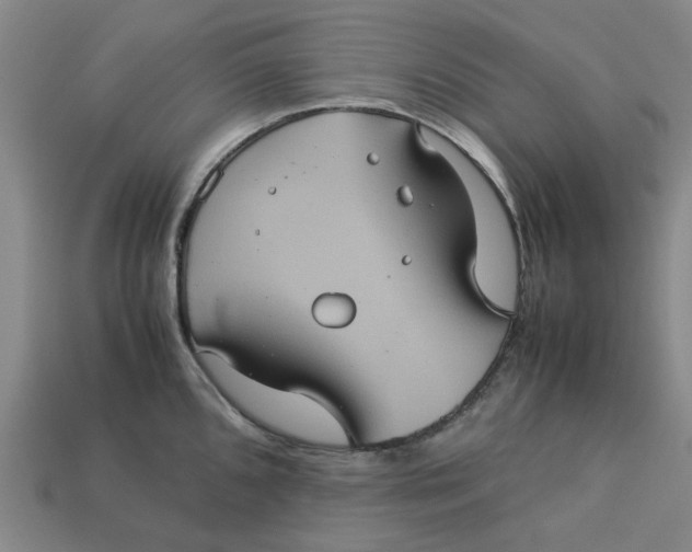 X0000113241096200910011321