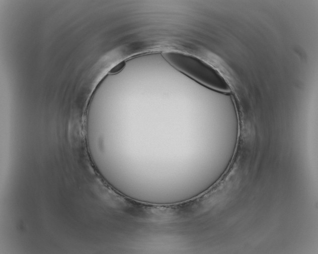 X0000113241097200910011321