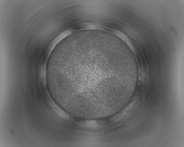 X0000113241098200910011321