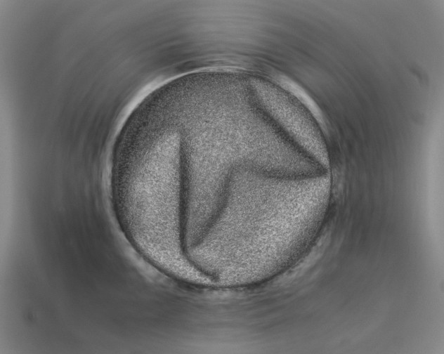 X0000113241099200910011321