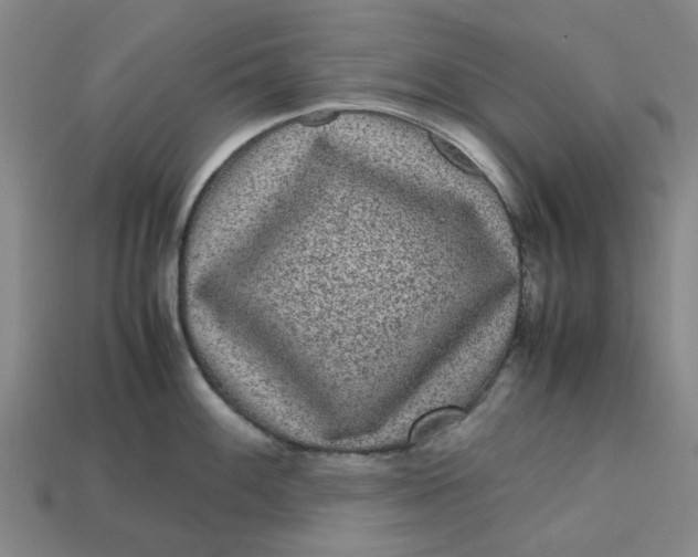 X0000113241100200910011321