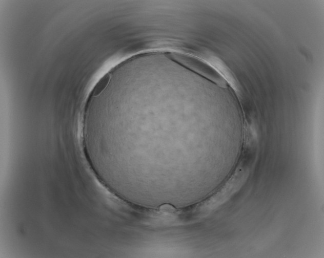 X0000113241101200910011321