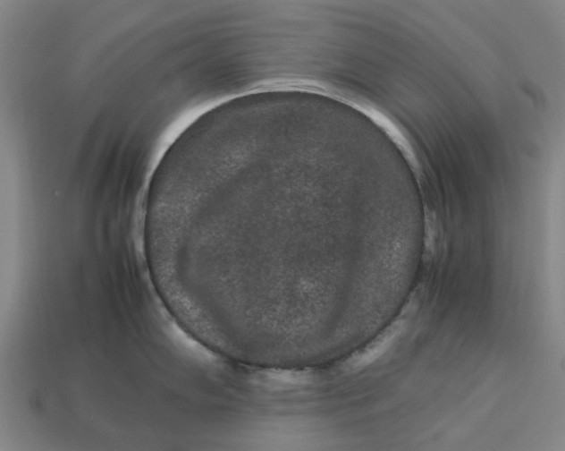 X0000113241102200910011321