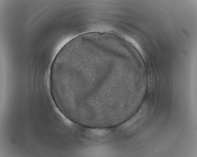 X0000113241103200910011321