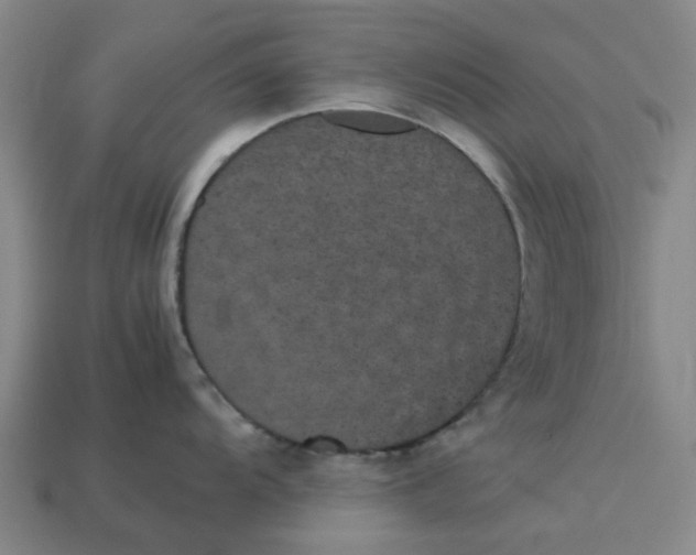 X0000113241104200910011321