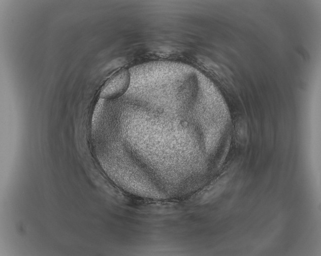 X0000113241105200910011320