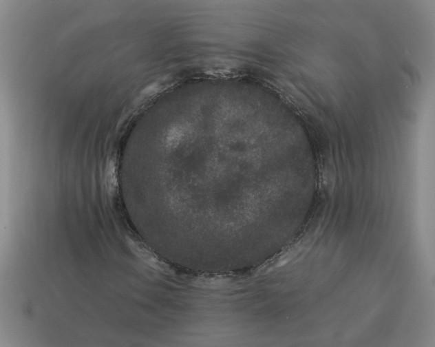 X0000113241106200910011320