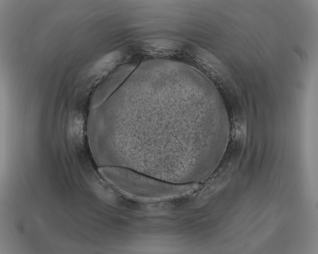 X0000113241108200910011320