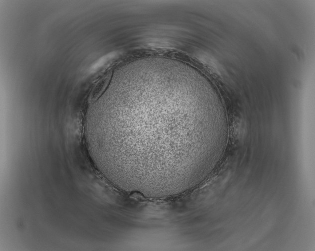 X0000113241110200910011320