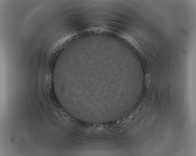 X0000113241111200910011320