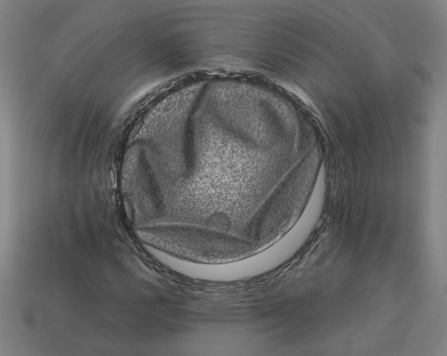 X0000113241112200910011320