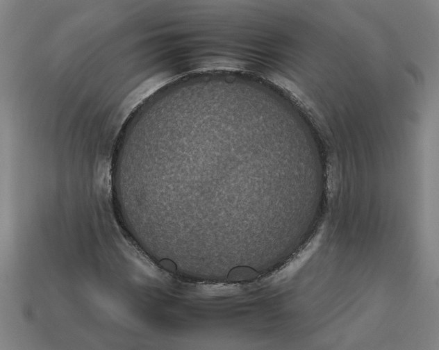 X0000113241113200910011320