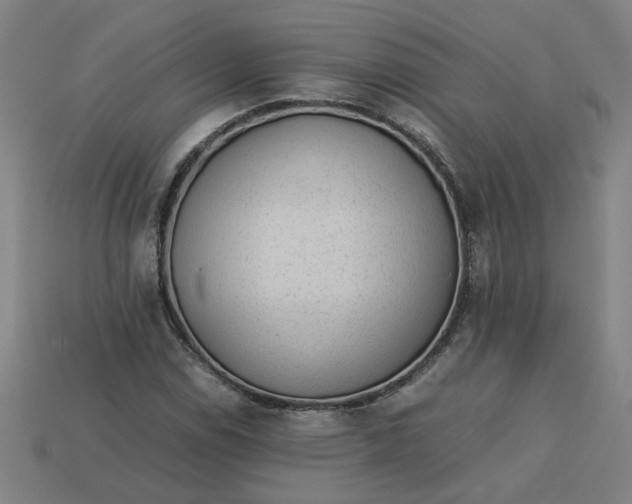 X0000113241114200910011320