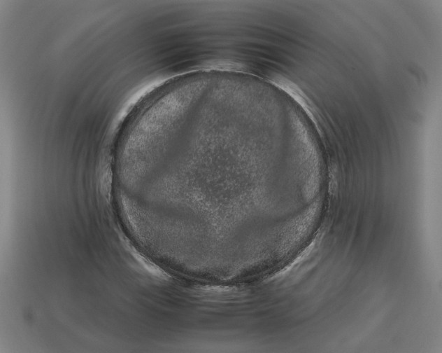 X0000113241115200910011320