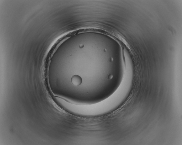 X0000113241116200910011320