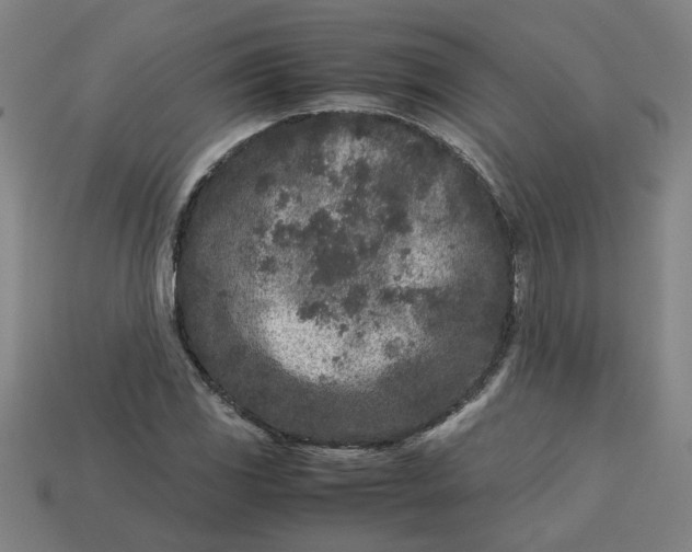 X0000113241117200910011320