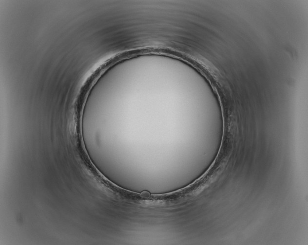 X0000113241118200910011320