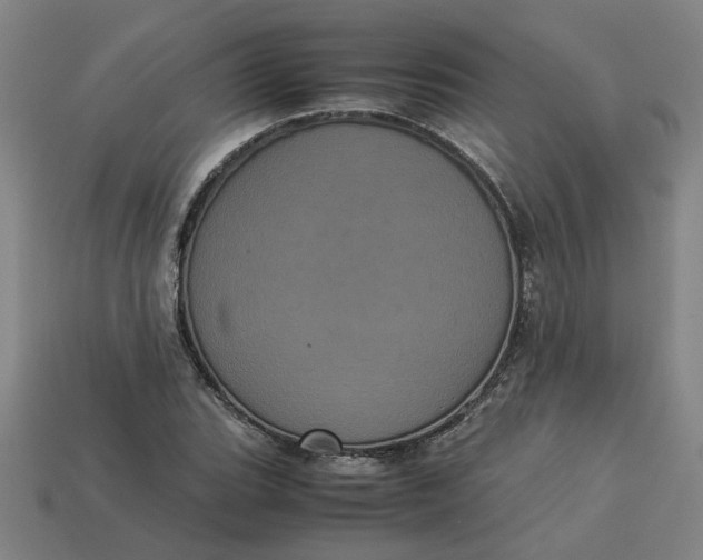 X0000113241119200910011320